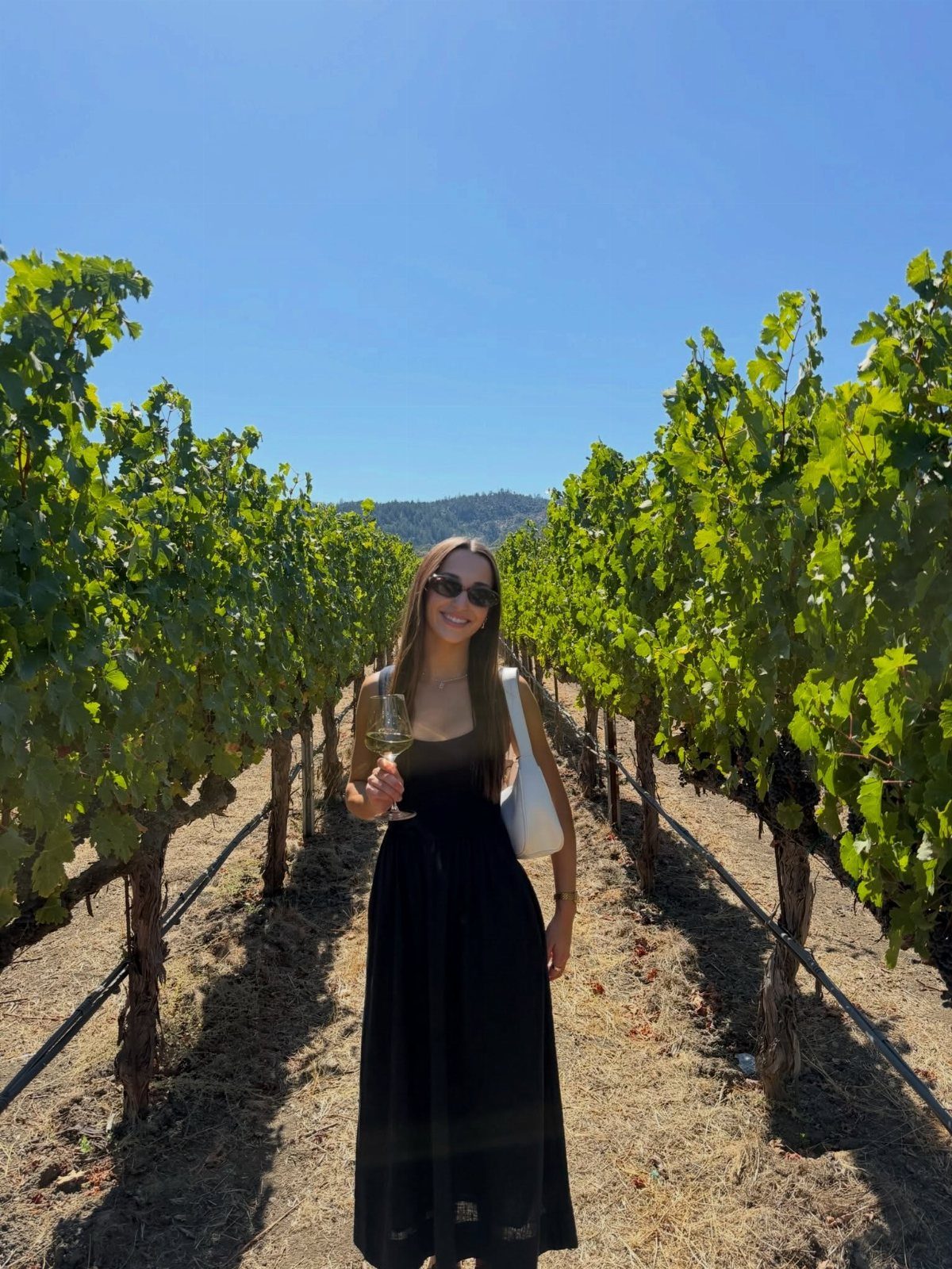Woman in black dress holding wine glass standing between rows of green grapevines
